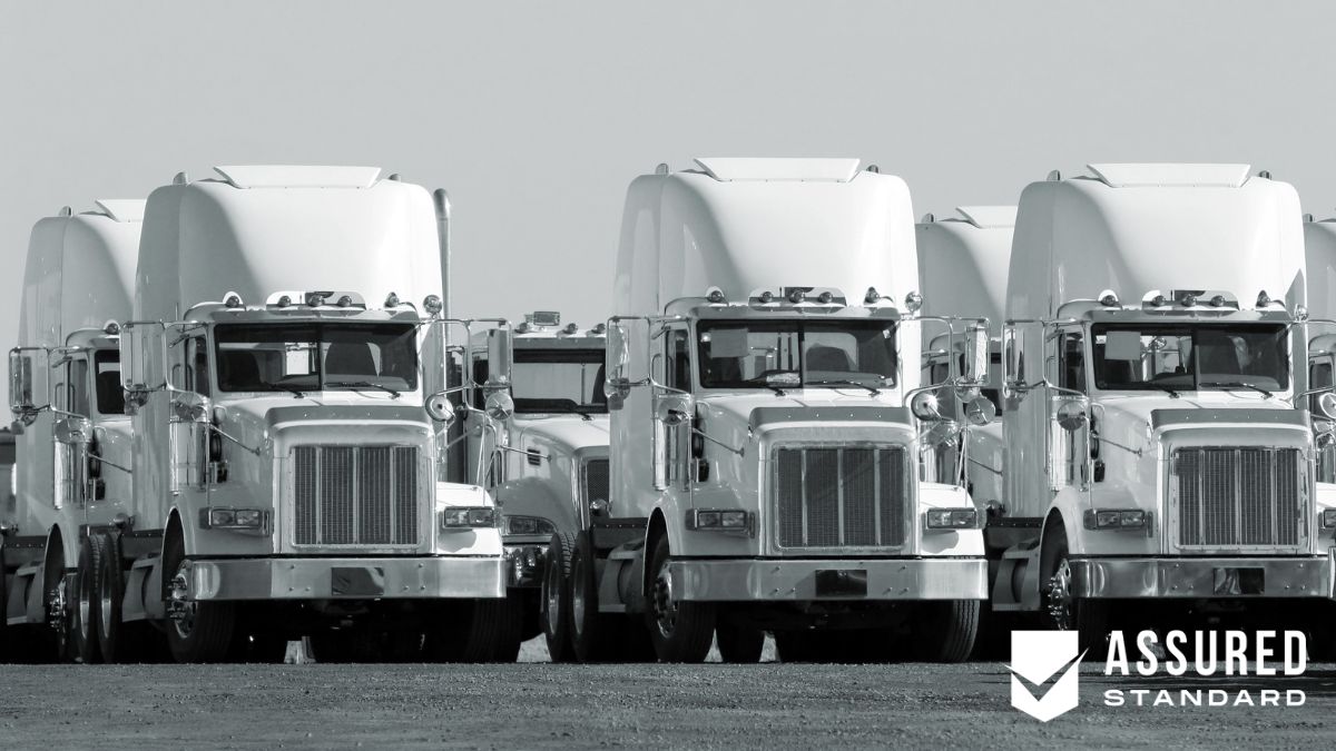 Assessing the Importance of Fleet Insurance