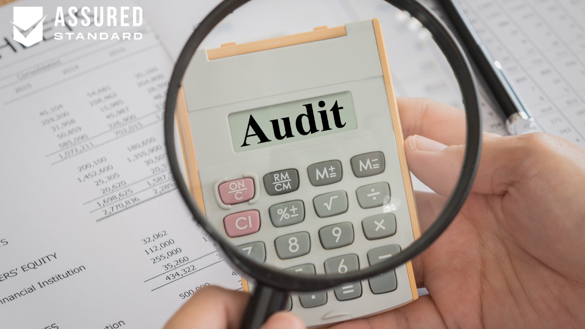 Learning From the Audit for Future Preparedness