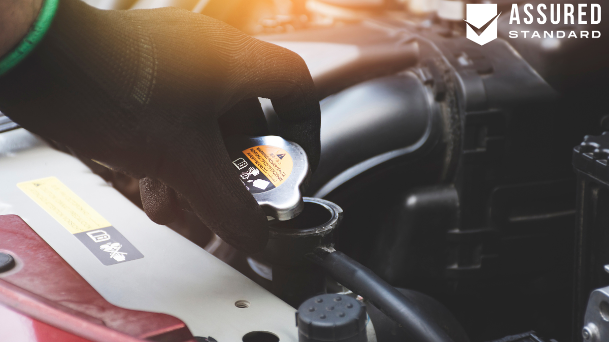Timing for Coolant System Flushes