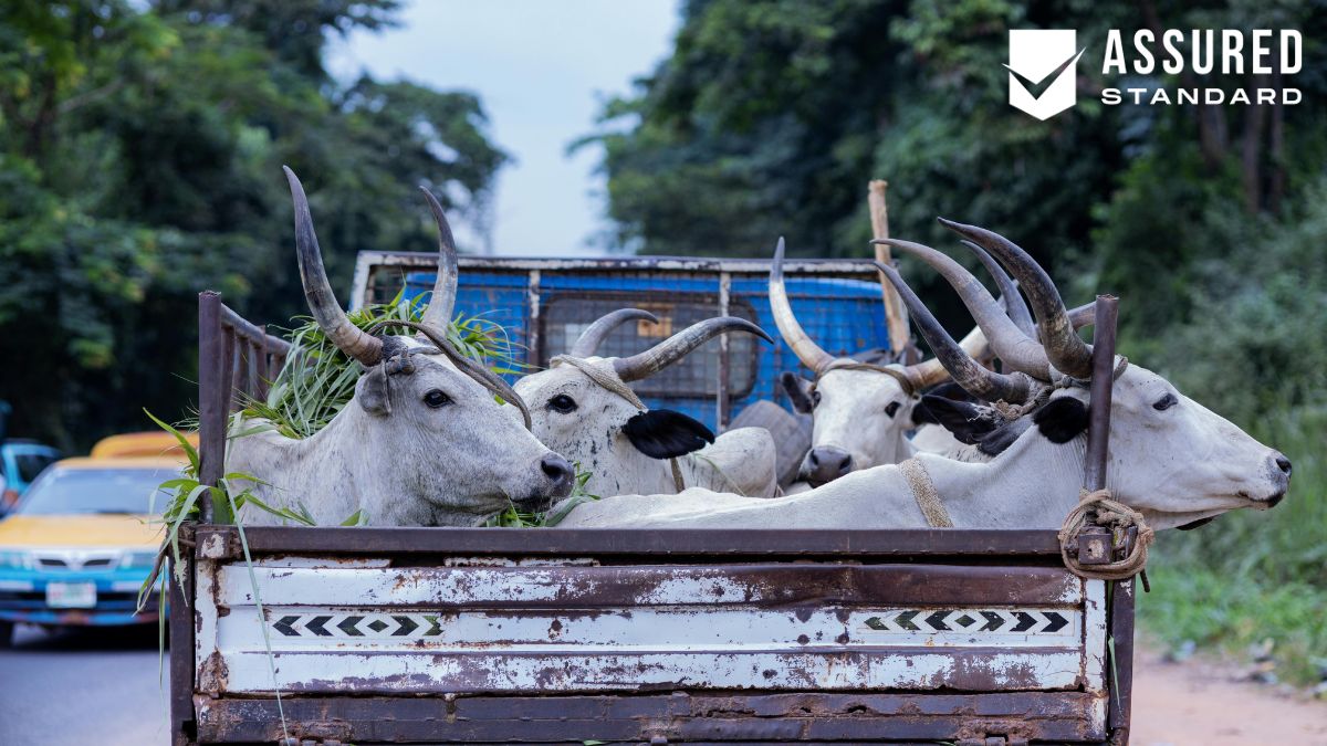 Understanding Animal Behavior During Transport